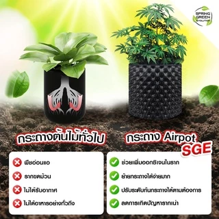 SGE กระถางต้นไม้ กระถางดอกไม้ Air Pot( AP แนะนำ 5 ชิ้น ราคาพิเศษ!!!) พลาสติก เกรด HDPE ประกันคุณภาพ