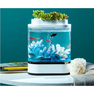 ตู้ปลาขนาดเล็ก mini lazy fish tank..สินค้าพร้อมส่ง