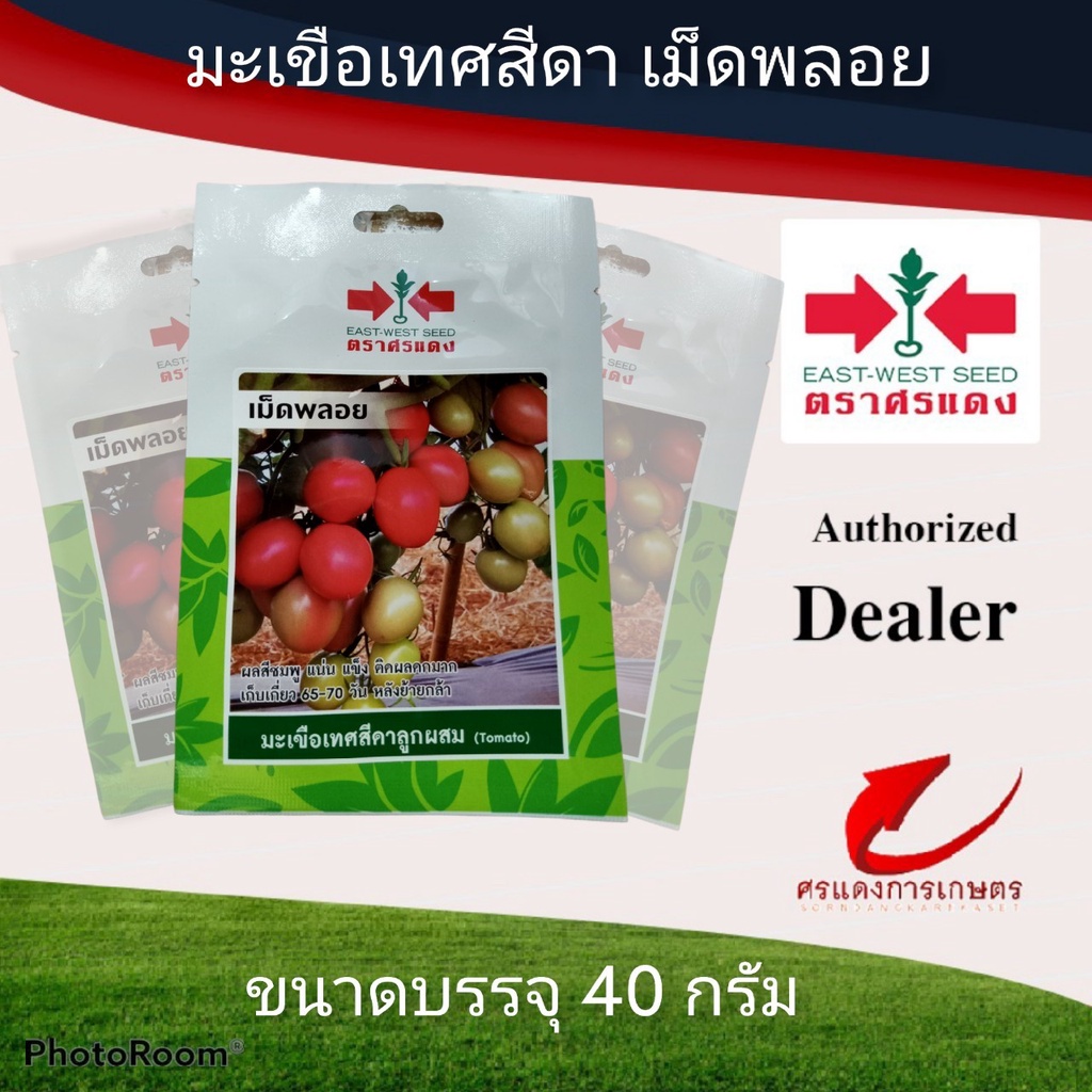 เมล็ดพันธุ์ ผักซองศรแดงมะเขือเทศเม็ดพลอย #เมล็ดพันธุ์มะเขือเทศ #ขายปลีกเมล็ดพันธู์ #ขายส่งเมล็ดพันธุ์ #มะเขือเทศ