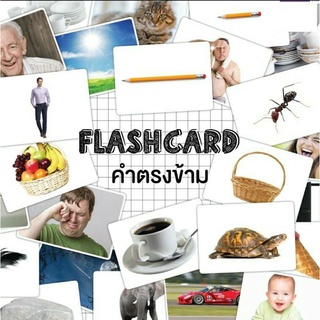 แฟลชการ์ดคำตรงข้าม แผ่นใหญ่ Flash card Opposite Words KP073 2WINBOOKTOYS