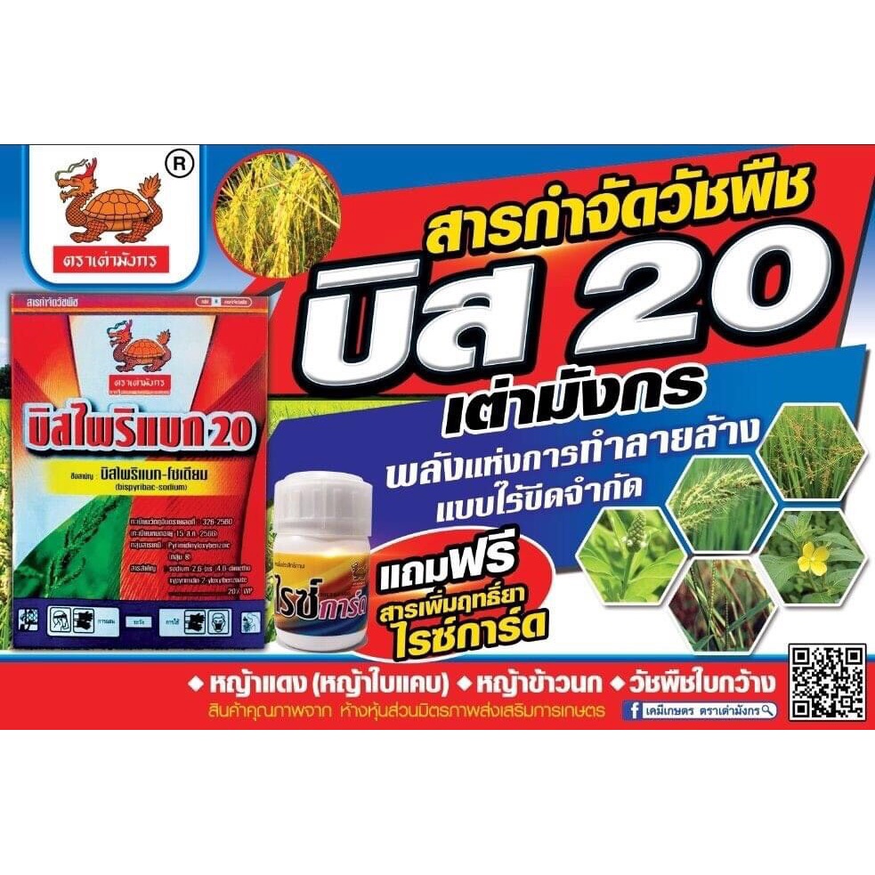 ยาฆ่าหญ้าในนาข้าว บิสไพริแบคโซเดียม ตราเต่ามังกร แถมฟรี สารจับใบ บีคอปป์ สารกำจัดวัชพืช ยาเก็บหญ้าในนาข้าว