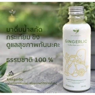GINGERLIC น้ำกระเทียมขิงสกัด น้ำสมุนไพรสกัดเย็น กระเทียม ขิง มะนาว น้ำแอปเปิ้ลไซเดอร์ ปริมาณ 250ml.