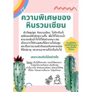 ดินปลูกไม้อวบน้ำ (โดยเฉพาะ) เหมาะมากกับกุหลาบหิน ฮาโวเทีย และไลทอป สูตรพรีเมี่ยม หินรวมเซียน อวบน้ำ วัสดุปลูก ดินปลูก