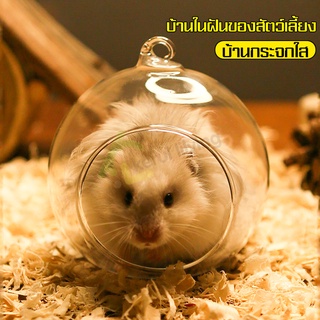 บ้านสัตว์เลี้ยง ที่นอนแฮมเตอร์ ของตกแต่งกรง หนูแฮมเตอร์ ที่นอนหนู บ้านแฮมสเตอร์ Hamster House ของเล่นหนูแฮมเตอร์ บ้านหนู