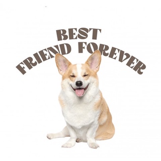 T-SHIRT : MVL - DOG (Best Friend Forever)