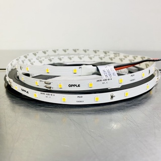 OPPLE ไฟเส้น ไฟริบบิ้น ribbon LED tape LED strip 2835 24V แสงคลูไวท์ 4000K 5W/m