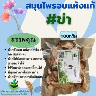 ข่า (Galanga)  ขนาด 100 กรัม  ช่วยบำรุง สมรรถภาพทางเพศ