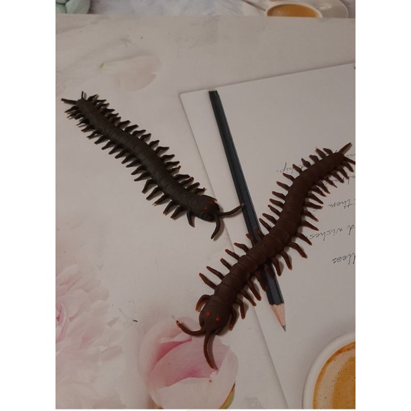 ตะขาบปลอม ตะขาบยาง เหมือนจริง ตัวหนา ใหญ่ ยาว 18cm.