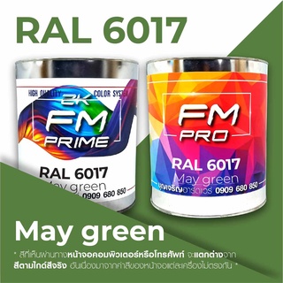 สี RAL6017 May green