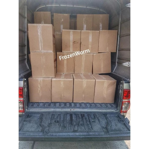 หนอนแดงแช่แข็งFuji 10 แพ็ค(1กล่อง)⚠️โปรดระวังสินค้าลอกเลียนแบบ⚠️ เกรดA อาหารปลาและกุ้งแถมฟรี!!กล่องโฟมเก็บความเย็น thumbnail 8
