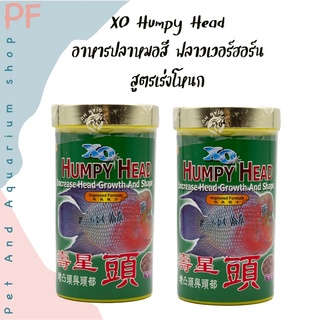 XO HUMPY HEAD อาหารปลาหมอสี สูตรเร่งโหนก