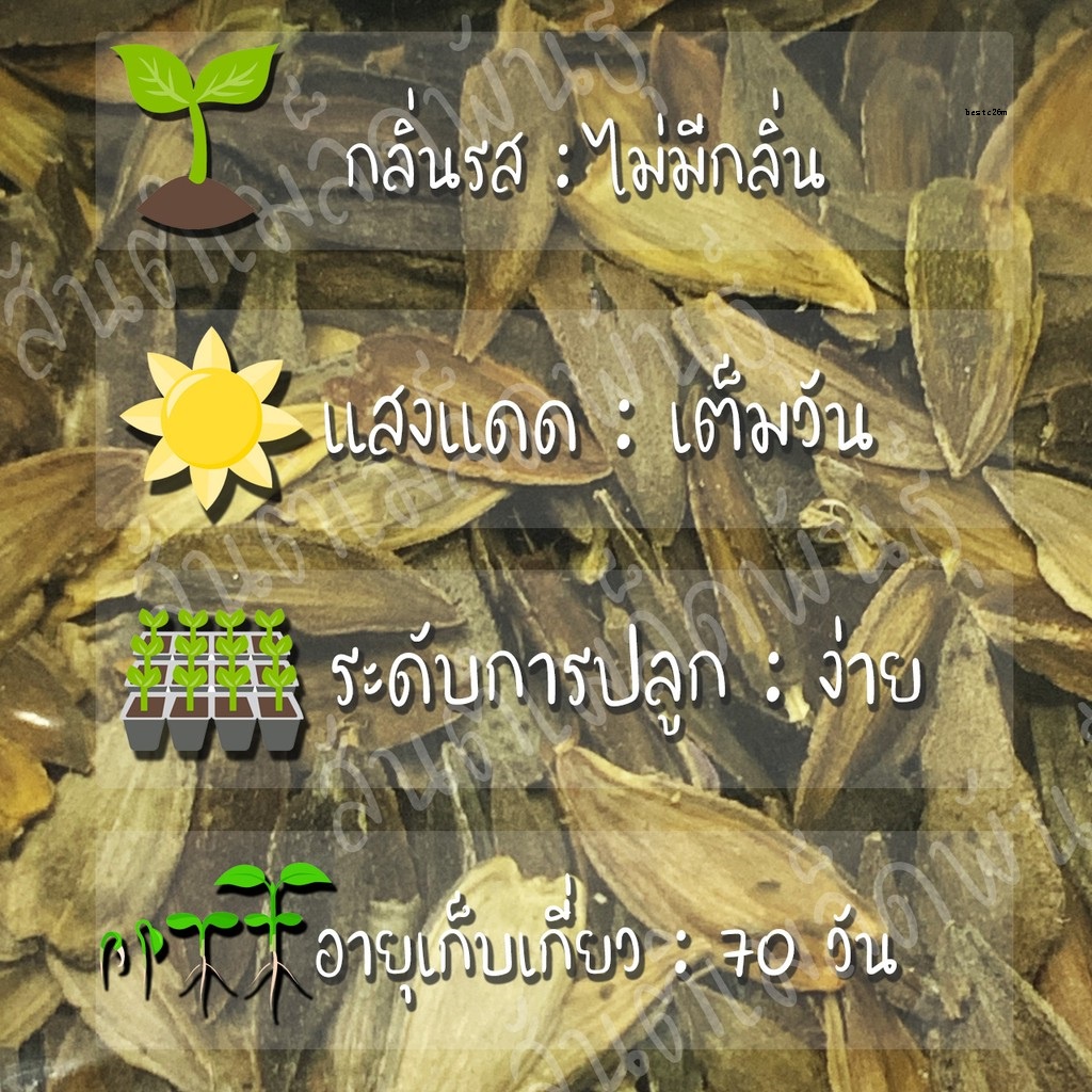 My Image 13