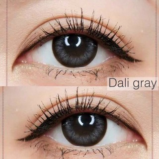 Dali Gray, บิ๊กอาย สีเทา  ค่าสายตา รายดือน