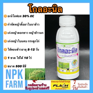 โกลอะนิล ขนาด 500 ซีซี อะนิโลฟอส 30% EC กำจัดหญ้าดื้อยาในนาข้าว ทั้งใบแคบ ใบกว้าง หญ้าดอกขาว ข้าวนก ลิเก กก พุ่มพวง