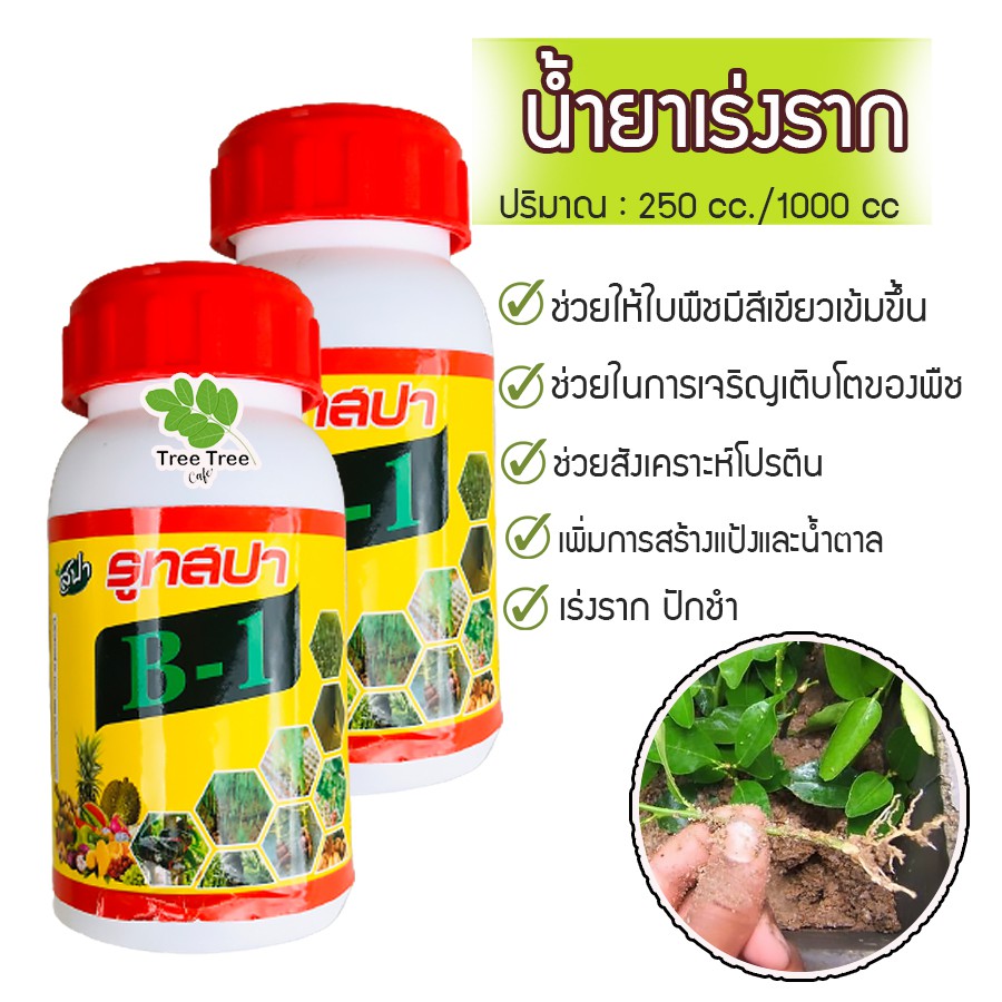 B-1 ยาเร่งราก เร่งราก สำหรับ ปักชำ ตอนกิ่งใหม่ รูทสปา ปุ๋ยน้ำสปา น้ำยาเร่งรากบีวัน 250 cc.
