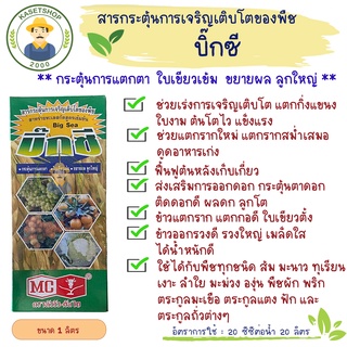 บิ๊กซี (ตราหัววัวคันไถ) ขนาด 1 ลิตร#ฟื้นต้น#เปิดตาดอก#สารสกัดจากทะเลสูตรเข้มข้น#บำรุงต้น #เร่งราก