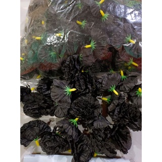ดอกดาวเรืองสีดำ (500ดอก) ดาวเรืองสีดำมีรูร้อยมาลัยได้ ดาวเรืองผ้า ดาวเรืองปลอมสีดำ สุดคุ้ม