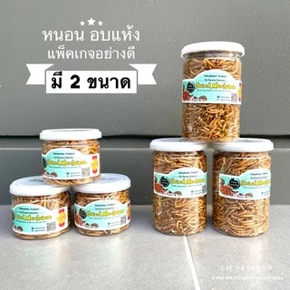 แมลงอบแห้ง หนอนอบแห้ง หนอนนก จิ้งหรีด สะดิ้ง ดักแด้ l อาหารแฮมเตอร์ แพรี่ด็อก ชูการ์ นก