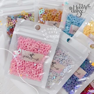 เลื่อมกลิตเตอร์รูปดาว แบบกลวง Hollow Stars เหมาะสำหรับตกแต่ง DIY เรซิ่น