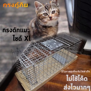 กู้ภัยกรง stray กู้ภัยสัตว์ กรง cat catcher กรง พับ จับ กรง การล่าสัตว์ โลหะ สังกะสี กันสนิม จับ กรง