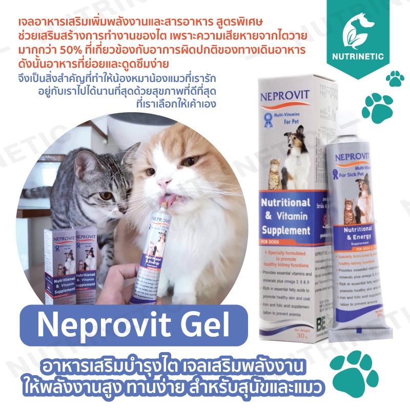 Neprovit Gel อาหารเสริมบำรุงไต เจลเสริมพลังงาน ให้พลังงานสูง ทานง่าย สำหรับสัตว์ป่วย สุนัขและแมว