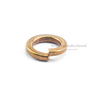 แหวนสปริงทองเหลือง M5 M6 M10 M12 แหวนกันคลายวัสดุทองเหลือง แหวนทองเหลือง Brass Spring Washer