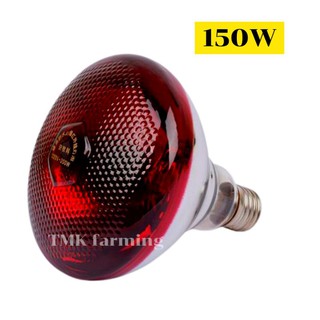 หลอดไฟอินฟาเรด กกสัตว์เลี้ยง150วัตต์ E27หลอดไฟให้ความอบอุ่น infrared lamp 150w