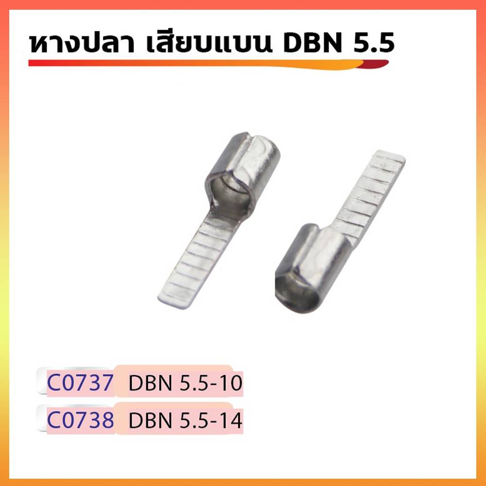 หางปลาเสียบแบบก้านไม้ขีดแบนเปลือย DVB 5.5 (ตัวผู้)