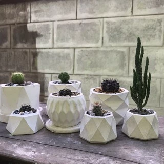 กระถางกระบองเพชร🌵ขนาดกลาง