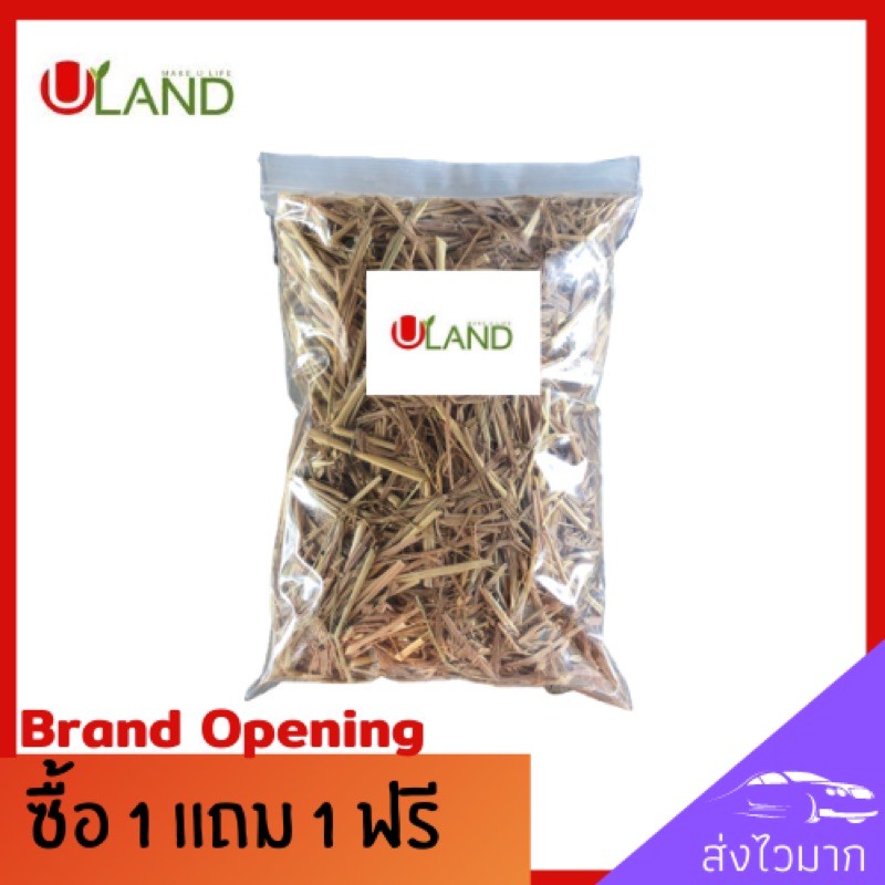 Uland ฟางข้าว 400-500 กรัม ฟางเพาะเห็ด ฟางคลุมหน้าดิน ใช้ทำประโยชน์มากมาย