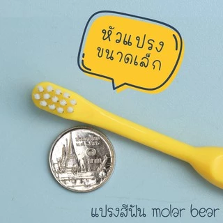 0-3 ขวบ+ Molar Bear แปรงสีฟันเด็ก ขนนุ่ม หัวแปรงขนาดเล็ก