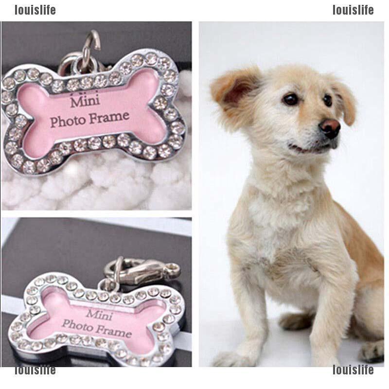 thro Stainless Steel Metal Bone Shaped Pet Dog Cat ID Name Tags jelly