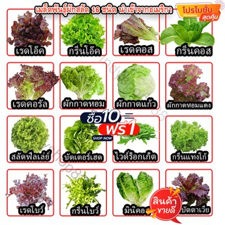 เมล็ดผักอินทรีย์ เมล็ดพันธุ์ผักสลัด เมล็ดผักสลัด 100-200 เมล็ด 10 บาท   [10 แถม 1 คละได้]