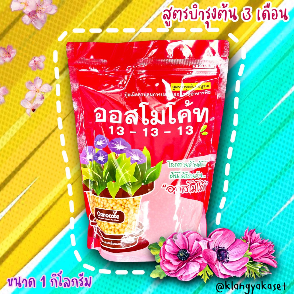 โฉมใหม่ ออสโมโค้ท ออสโมโค้ทพลัส ขนาด 1 กิโลกรัม ปุ๋ยออสโมโค้ท ไม้ดอก ไม้ประดับ แคคตัส ปุ๋ยใหม่ ปุ๋ยแท้100% 3 เดือน