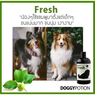 Doggy Potion Fresh Shampoo 500ml&2000ml