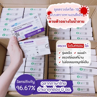 พร้อมส่ง‼️ ATK ชุดตรวจโควิดแบบน้ำลาย รู้ผลเร็ว แม่นยำ HIP Biotech 1 เทส มีอย. ไทยถูกต้อง ตรวจ Omicron ได้ ลอตล่าสุด