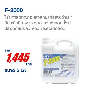 F-2000 ผลิตภัณฑ์สาหรับตกตะกอนสิ่งสกปรกในสระว่ายน้า (ออกใบกำกับภาษีได้)