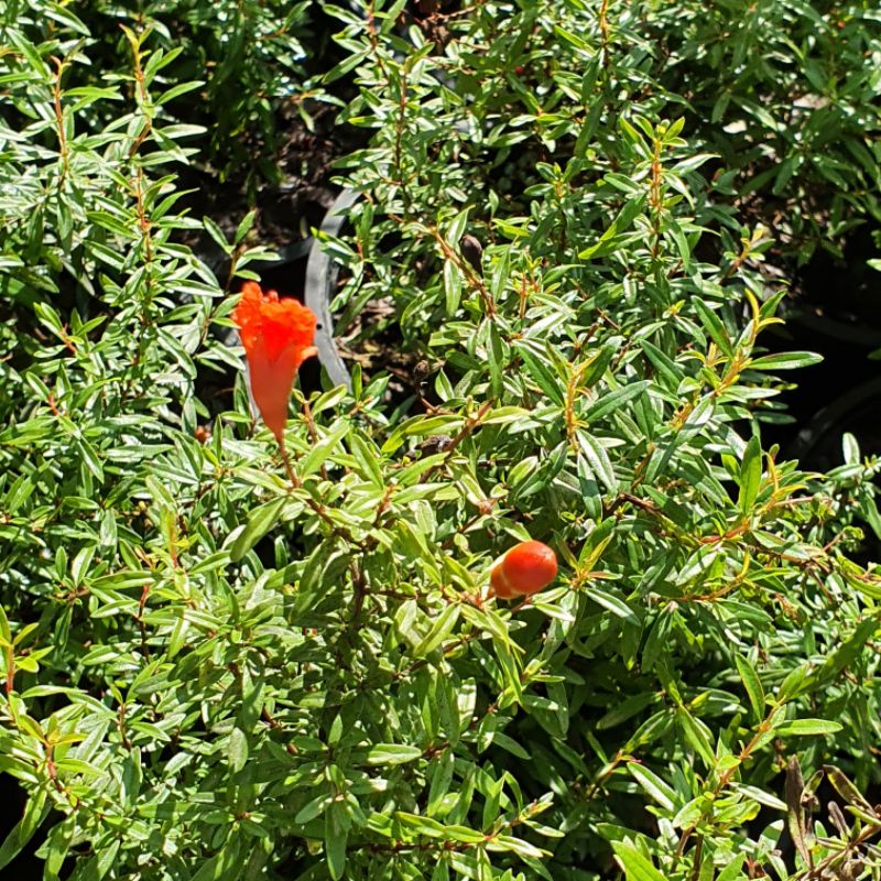 มุมมอง 5