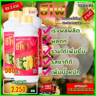 ซีโฟ ปุ๋ยน้ำซีโฟ ปุ๋ยซีโฟ ( 500 ซีซี  3 ขวด) บำรุงผล เร่งเติบโตผล ผลดกใหญ่ ยืดอายุการเก็บเกี่ยว ผลผลิตเพิ้ม แกรมม่าทู