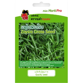 เมล็ดหญ้า Grass Zoysia หญ้าปูสนาม สนามหญ้า 20 g.