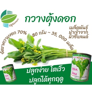 กวางตุ้งดอก 80 กรัม (Flower pak choy)​