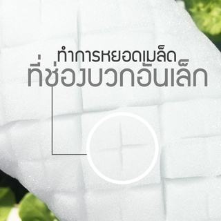 ฟองน้ำเพาะเมล็ด 1 แผ่น [ไร้ขอบ] ปลูกผักไฮโดรโปนิกส์ ผักสลัด | KP การเกษตร