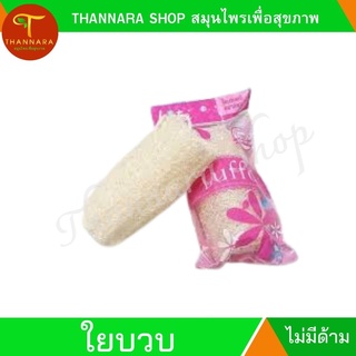 ใยบวบขัดผิวใยบวบธรรมชาติ Natural Luffa sponge ใยบวบขัดหลัง ขัดผิว ใยบวบธรรมชาติ แบบกลม มีเส้นใยที่เหนียวไม่ยุบง่าย