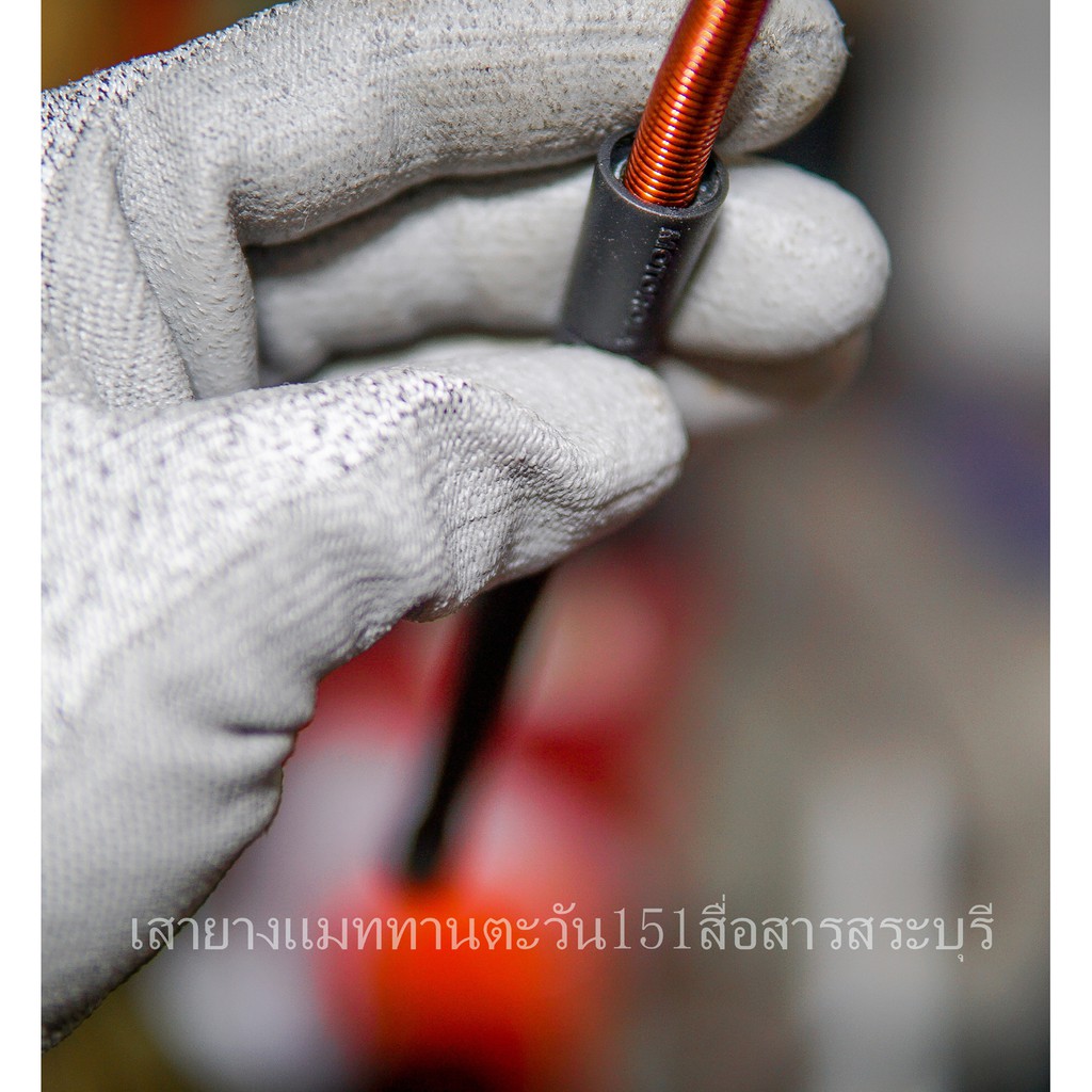 รูปภาพ 9