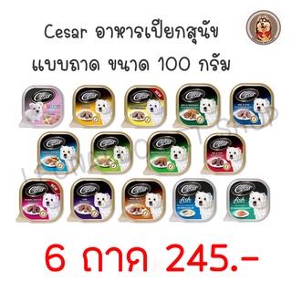 🔥6 ถาด245 บาท🔥 Cesar อาหารเปียกสุนัข 100 กรัม 👇รายละเอียดด้านล่าง👇