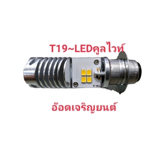 หลอดไฟหน้า~LED/T19คูลไวท์#OSRAM