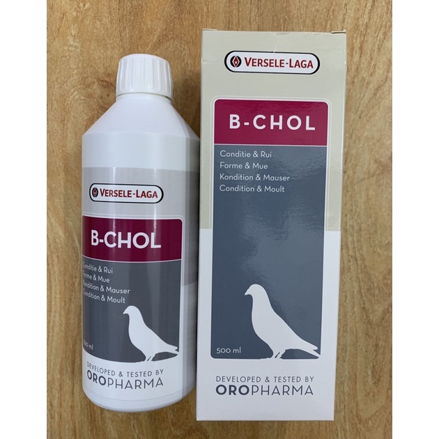 B-CHOL จาก เบลเยี่ยม