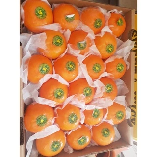 ส้มนกแก้ว🍊🍊🍊ฤดูกาลใหม่ SIZE M,L,XL = 1 Kg ราคาดี. เกรดพรีเมี่ยม