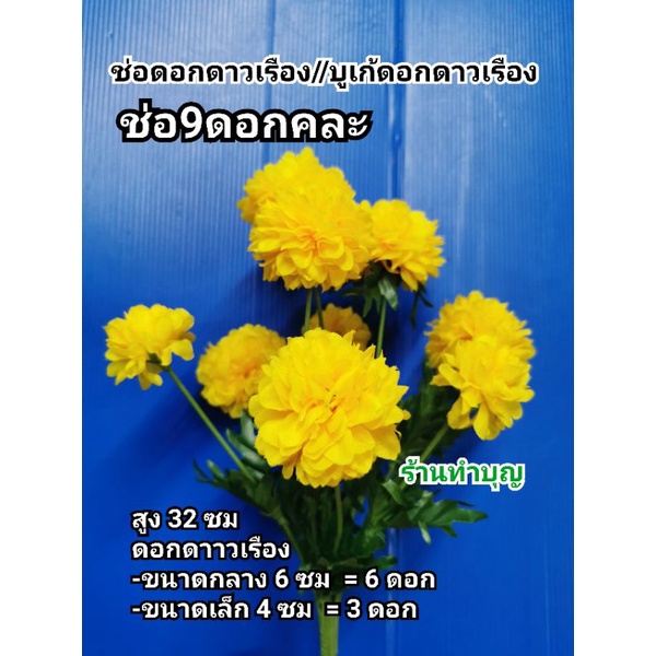 ดาวเรือง ช่อดอกดาวเรือง ดอกดาวเรืองใหญ่ 1 ช่อมี 7ดอกใหญ่ หรือ 9 ดอกคละ  ใช้ไหว้พระ ใช้ตกแต่ง วางบนหิ้งพระ ดอกไม้ไหว้พระ - รูปที่ 6