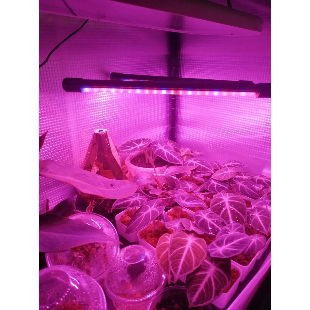ไฟปลูกต้นไม้ LED 2/3/4 โคม หลอดไฟปลูกต้นไม้ LED Grow Light โคมไฟปลูกพืช DC 5V 20W/30W/40W